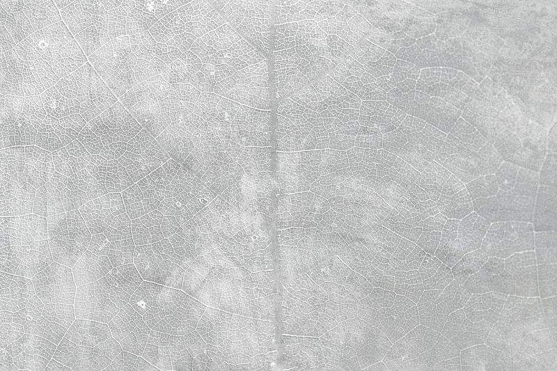 light gray texture background