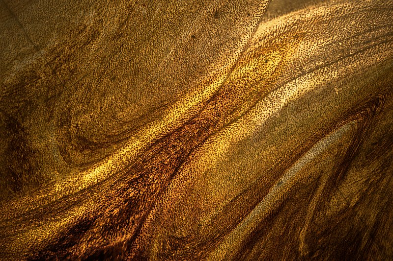 gold background wallpaper