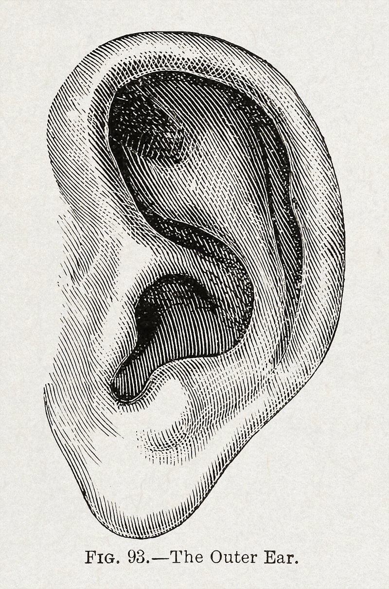 Vintage Ear Medicine Illustration Sticker