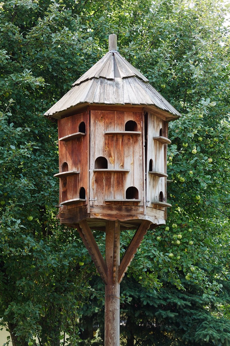 Hang bird feeder with a pulley system image
