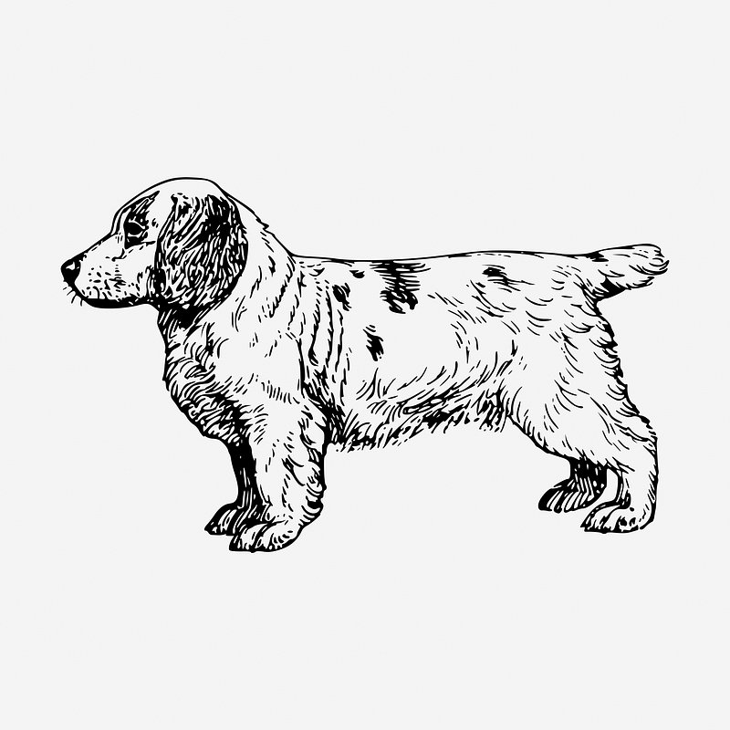 cão para colorir página de desenho bonito desenho ilustração download  grátis 5021145 Vetor no Vecteezy