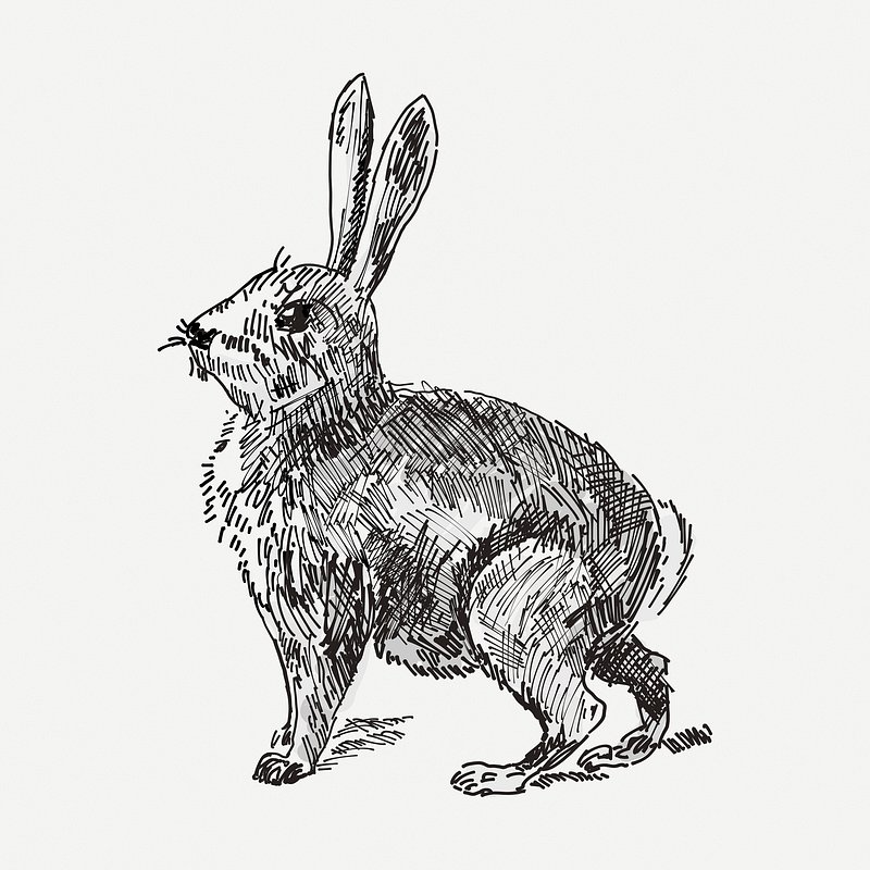 Ink Painting For Chinese's Rabbit Year Royalty Free Cliparts