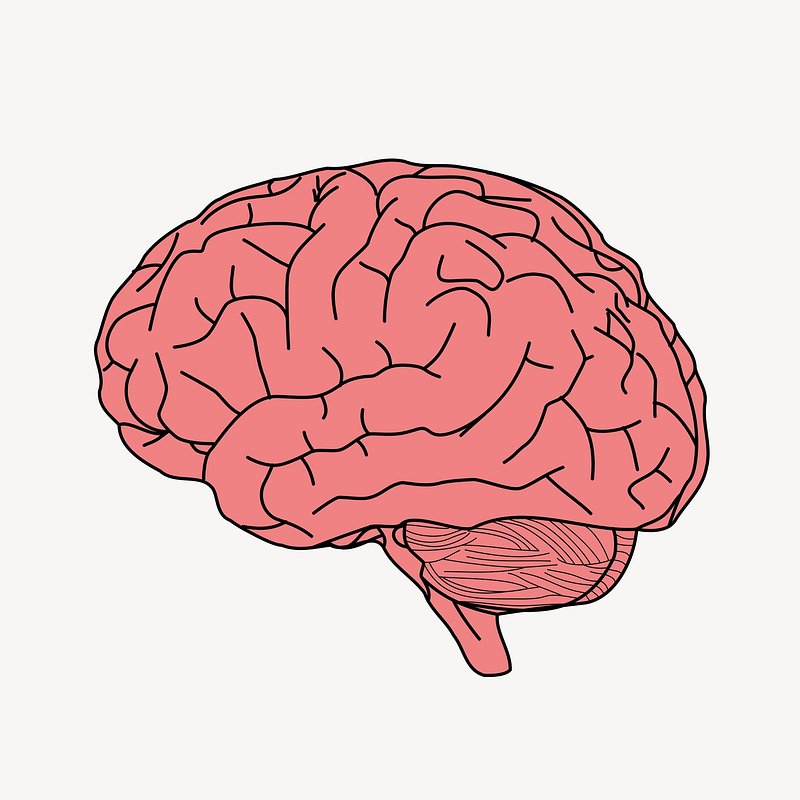 human brain cartoon clip art