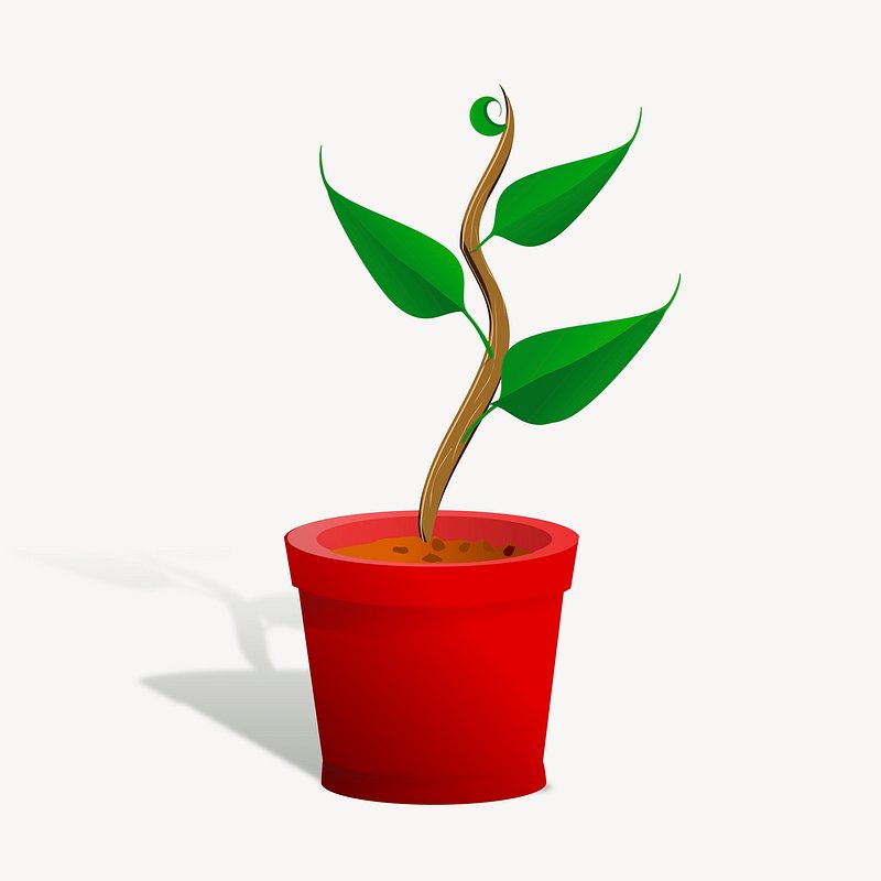 Plant Pot Clip Art at  - vector clip art online, royalty