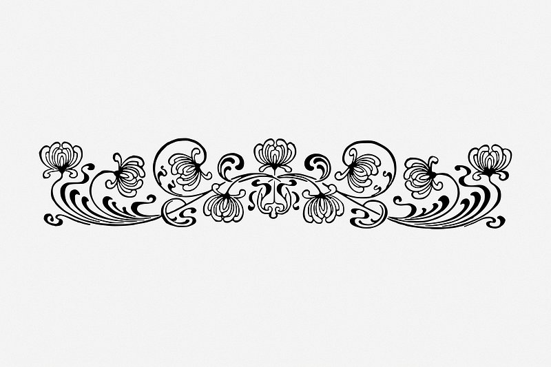 Premium Vector  Vintage floral dividers and border embellishments
