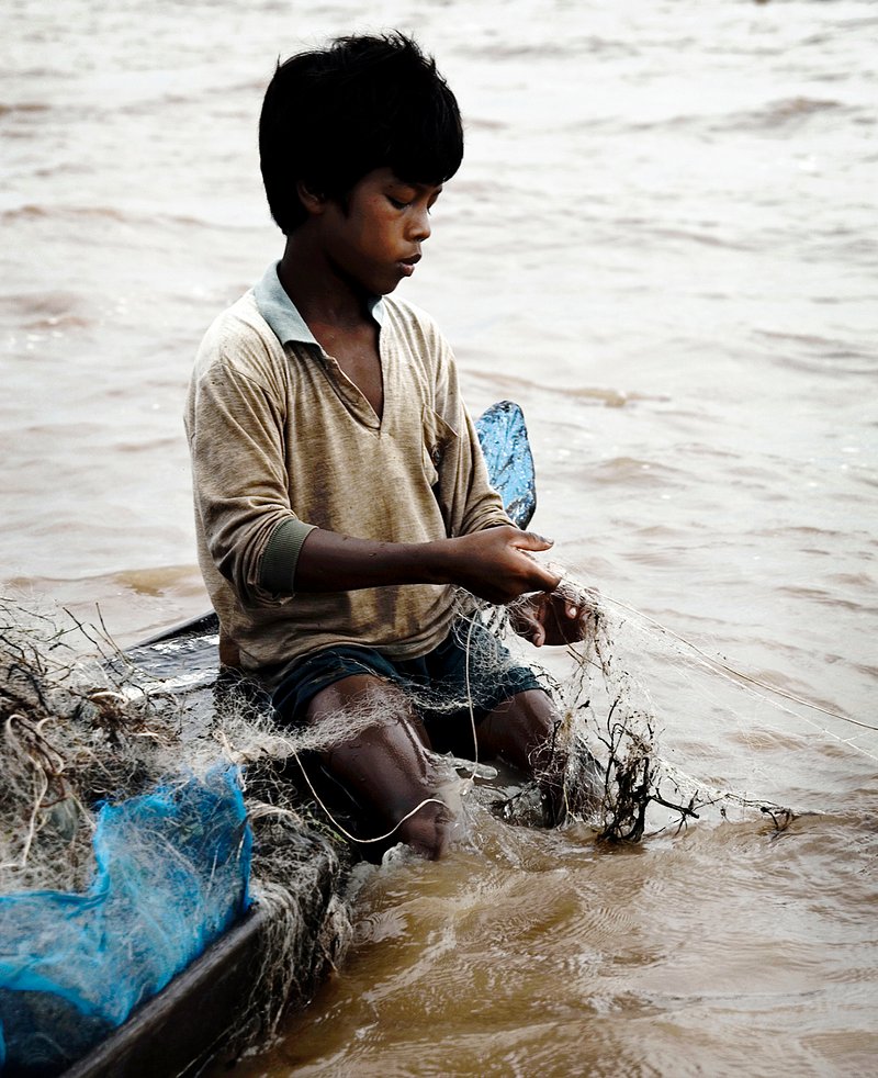 Boy fishing with a net, premium image by rawpixel.com