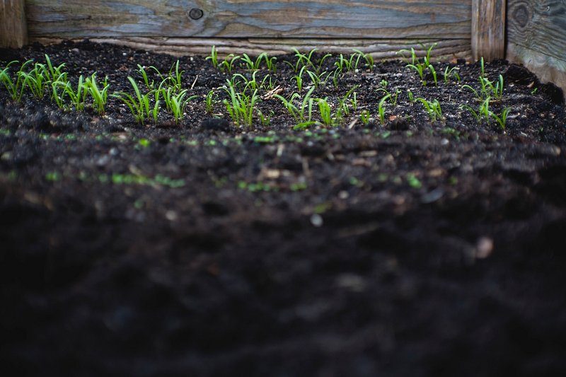 Soil Images - Free HD Backgrounds, PNGs, Vectors & Templates - rawpixel
