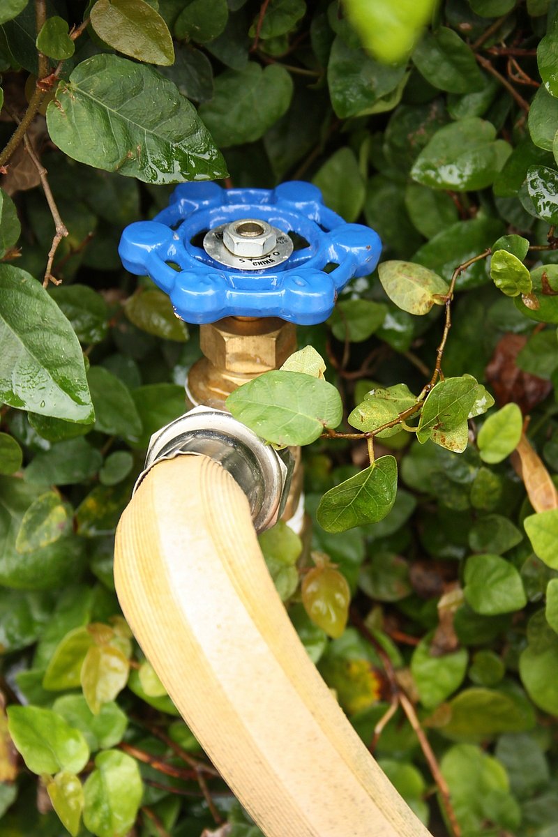 Garden Hose Faucet Free Photo rawpixel