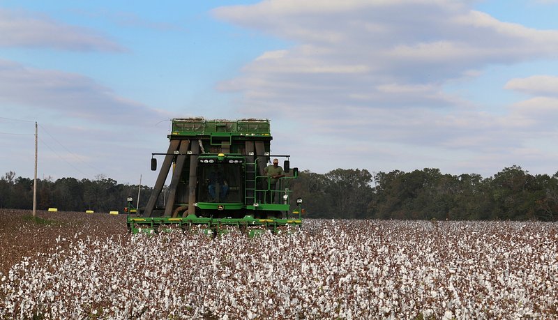 green color anarkali suit