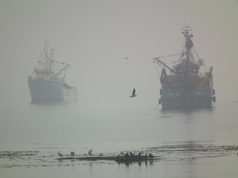 Boats. Original image Wikimedia Commons