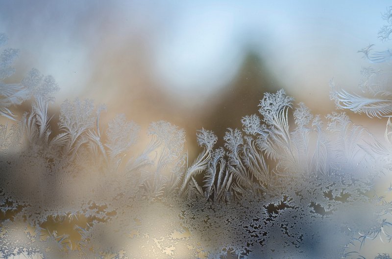 frost on window wallpaper