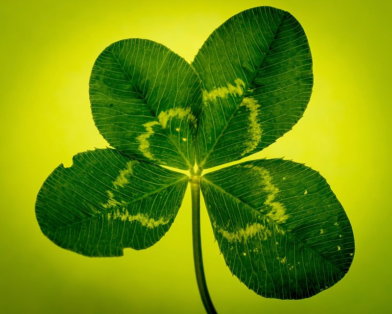 St Patrick's Day Wallpaper Free Stock Photo - Public Domain Pictures