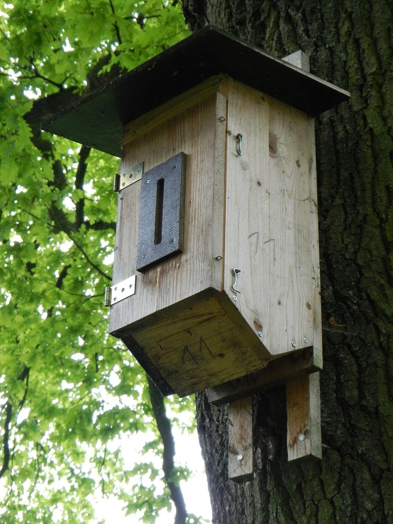 Step-by-Step Guide for Hanging a Bird Feeder on a Balcony image
