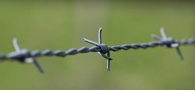 A piece of barbed wire sticks out of the ground on - PICRYL - Public Domain  Media Search Engine Public Domain Search