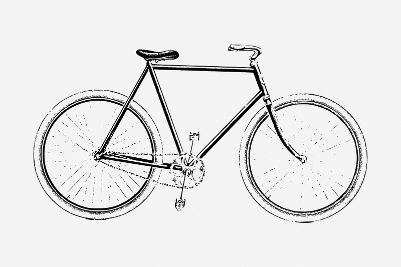 Premium Vector | Sketch of a bike-gemektower.com.vn