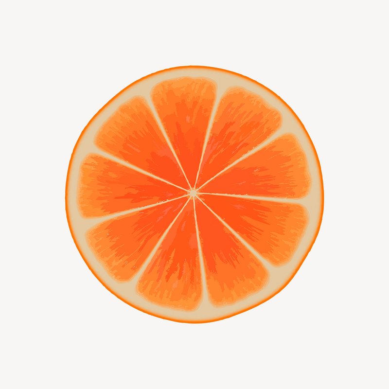 orange slices clipart