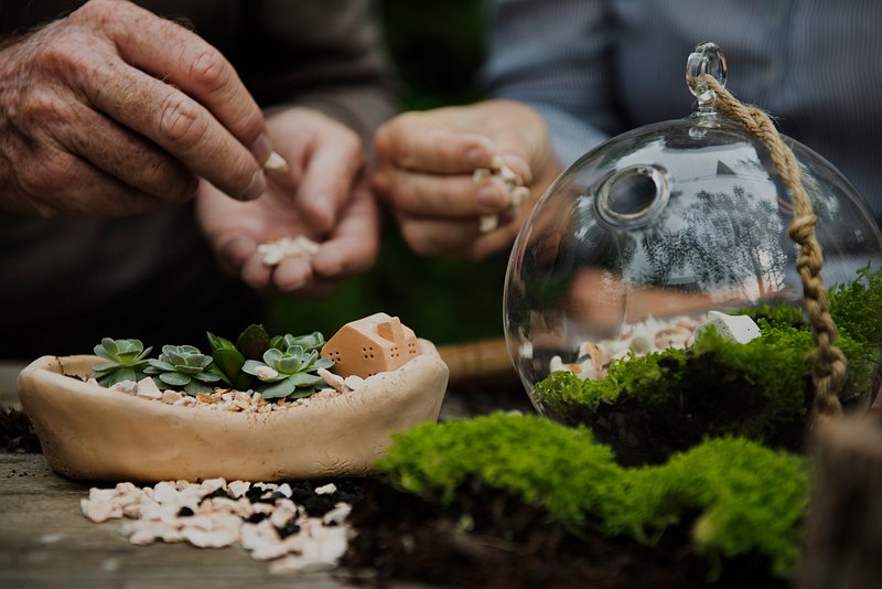 Belichamen zwaan Bezighouden Hands making a terrarium with miniature | Premium Photo - rawpixel
