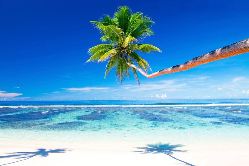 Tropical beach on Samoa | Premium Photo - rawpixel