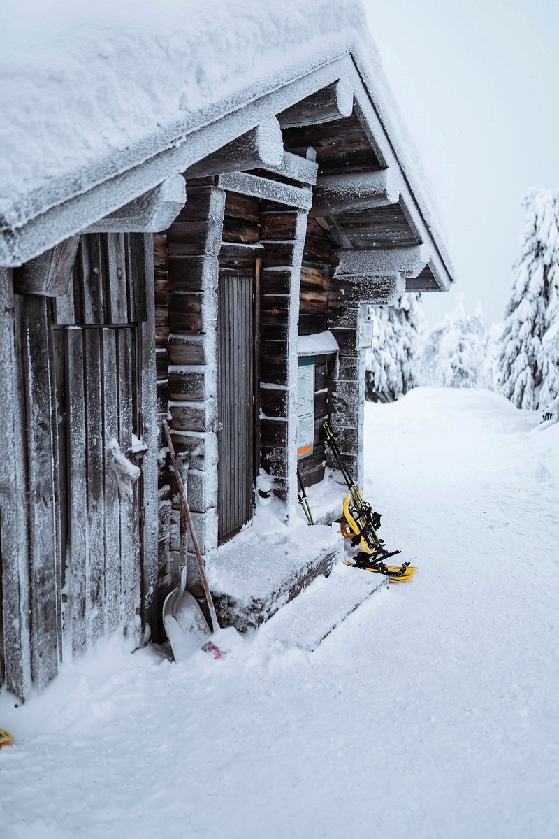 Wooden cabin in a snowy | Free Photo - rawpixel