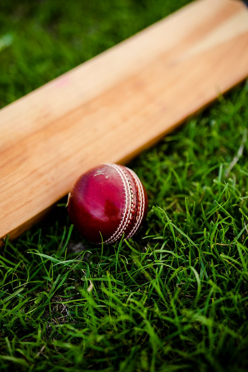 Cricket Images | Free Photos, PNG & PSD Mockups, HD Wallpapers &  Illustrations - rawpixel