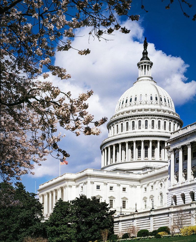 Washington d c is a. Капитолий Вашингтон. Вашингтон ДС Капитолий. Капитоль США. Капитолий конгресс США.