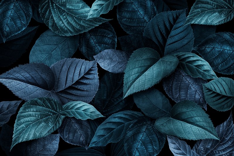 Blue Leaves Vectors | Free Illustrations, Drawings, PNG Clip Art, &  Backgrounds Images - rawpixel