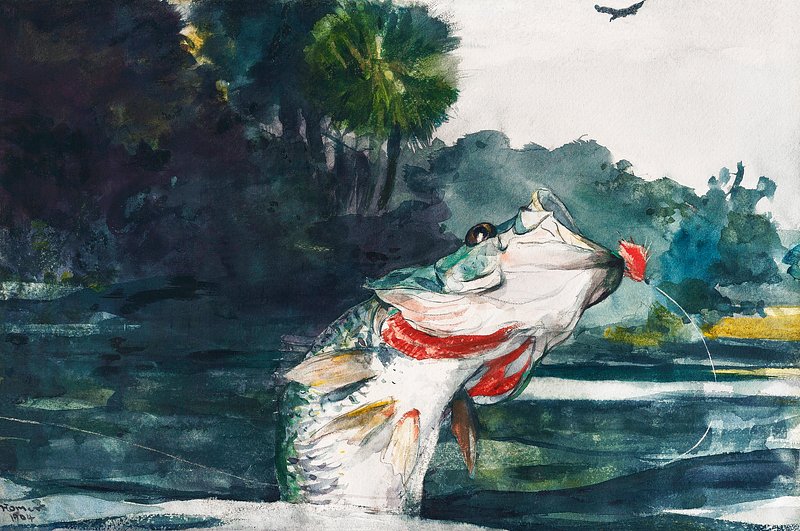 Fishing Painting Images  Free Photos, PNG Stickers, Wallpapers &  Backgrounds - rawpixel