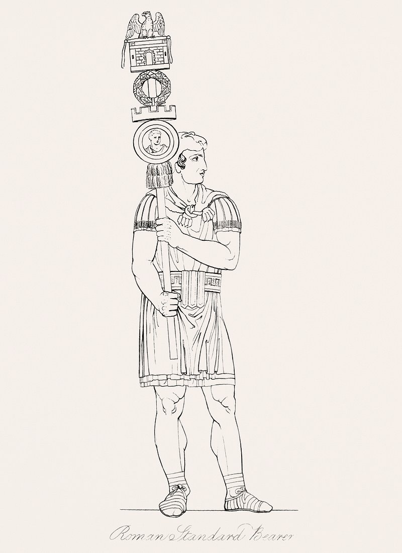 Боги Рима и Греции скетчевые рисунки голов