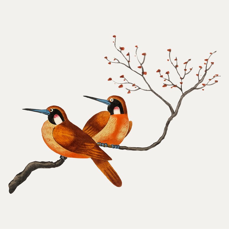 bird on tree branch drawing