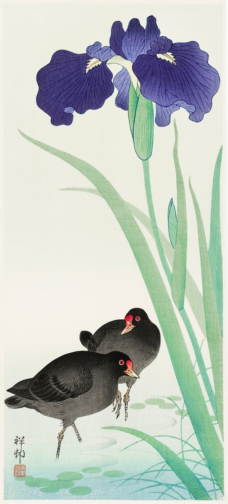 Blue Iris Flowers (Japandi Vintage) - Ohara Koson