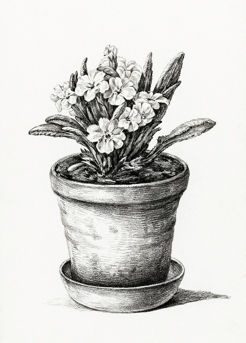 Premium Photo | A sketch of a flower pot and a vase with flowers.