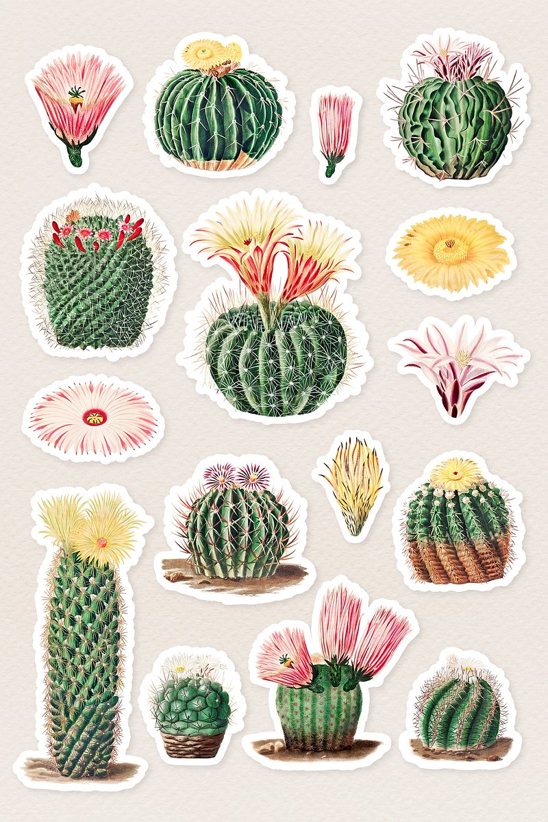 Vintage cactus sticker collection | Premium PSD - rawpixel