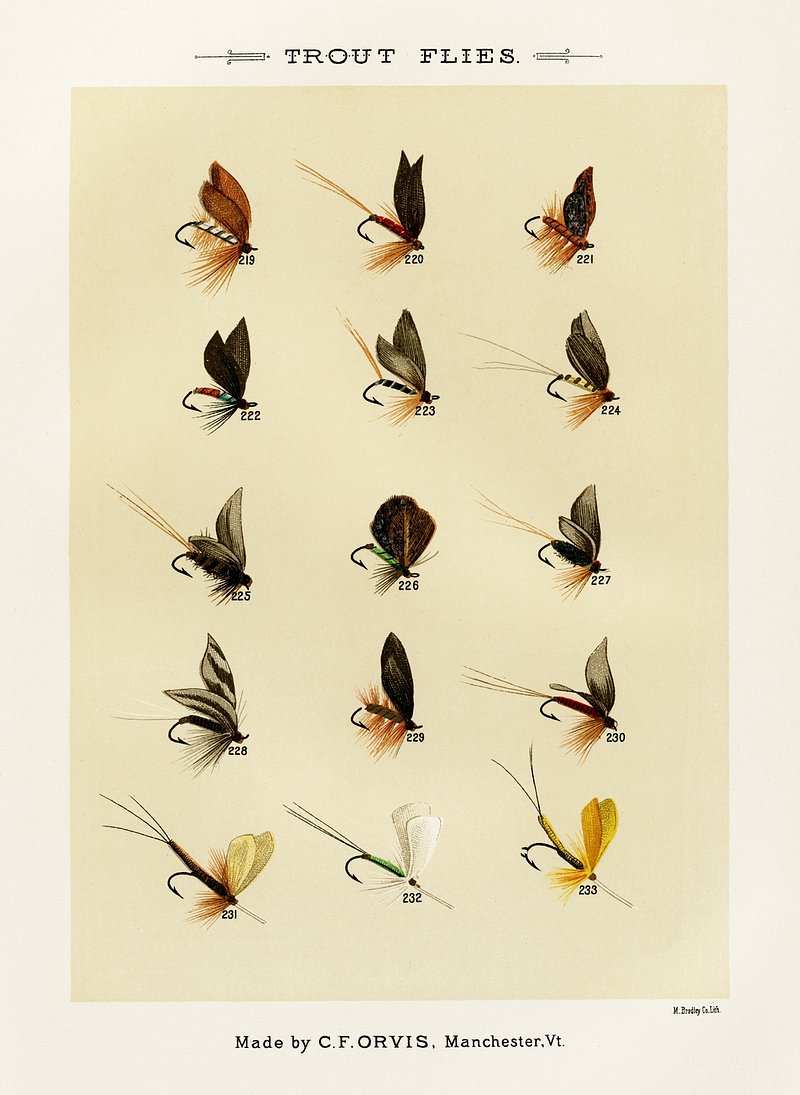 Favorite Flies and Their History  Mary Orvis Marbury fishing bait CC0 art  - rawpixel