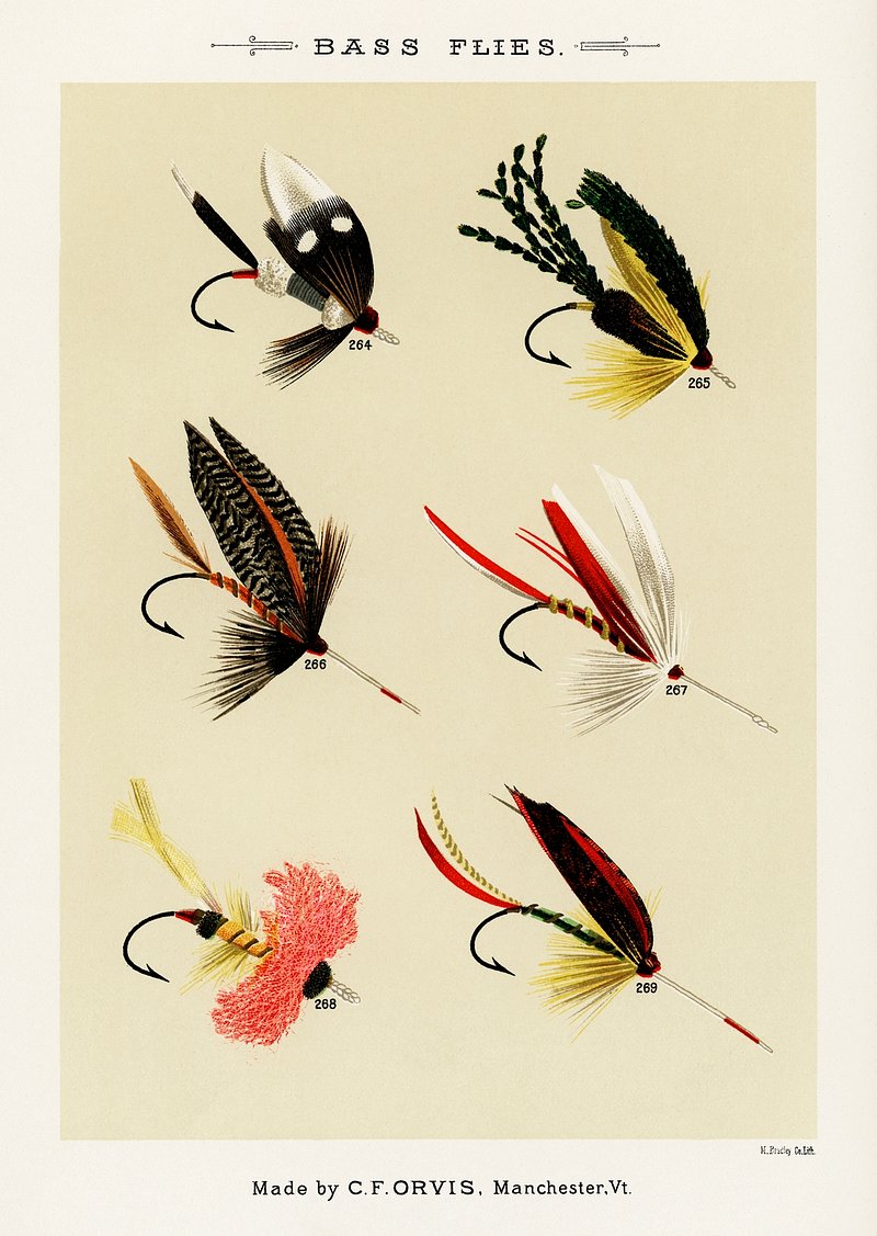 Fishing Flies Vintage Public Domain Images