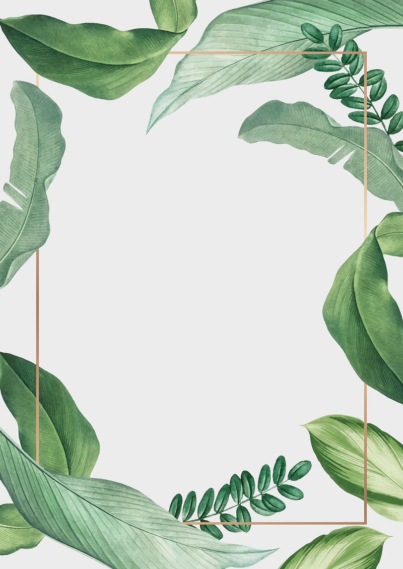 Greenery Images | Free HD Backgrounds, PNGs, Vectors & Templates - rawpixel