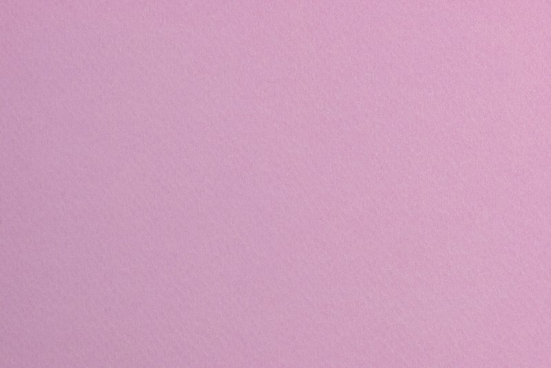 lavender background design