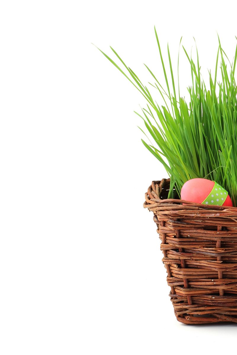 Easter Egg Basket Grass Flat Icon Graphic by Soe Image · Creative Fabrica