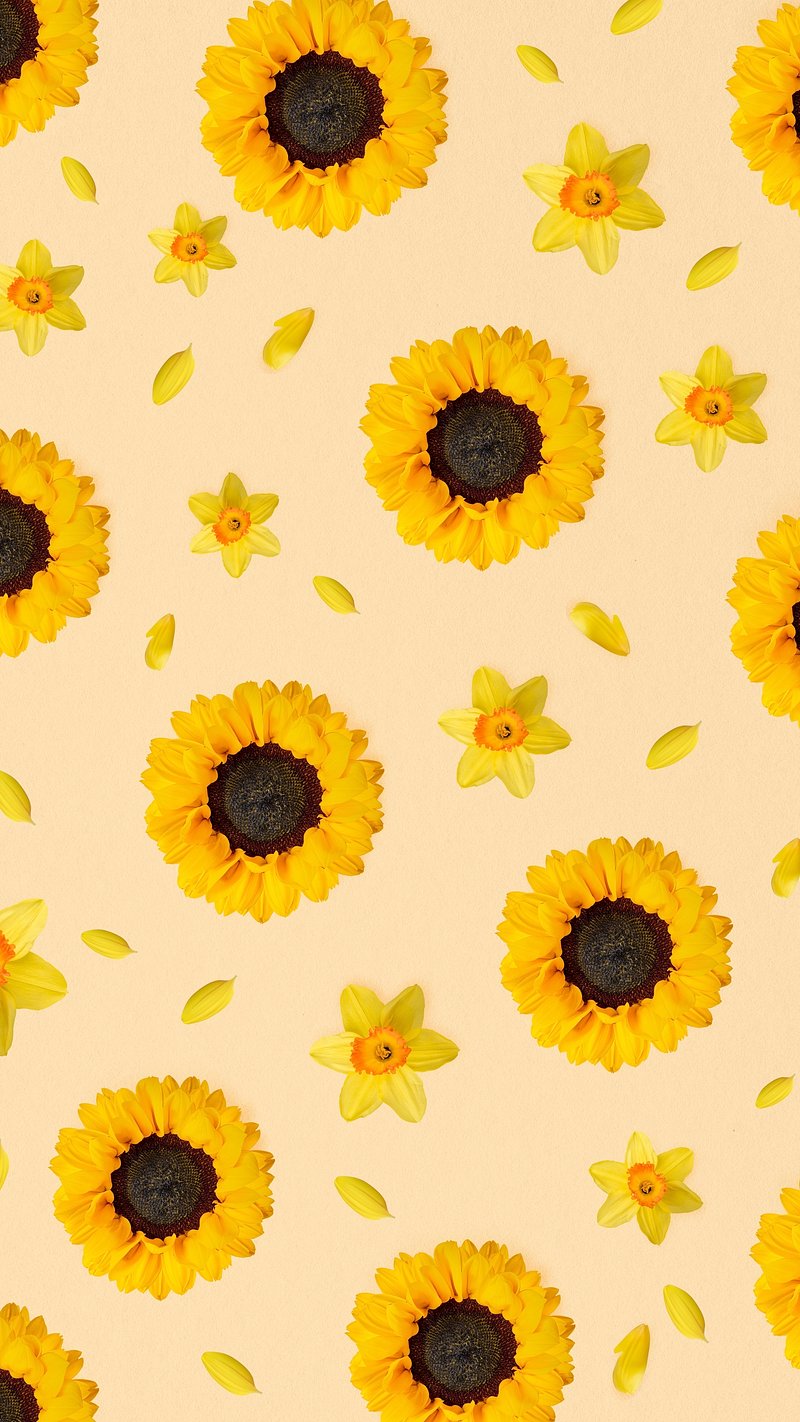 Yellow Aesthetic Sunflower Wallpaper Backgrounds For iPhone - Glory of the  Snow