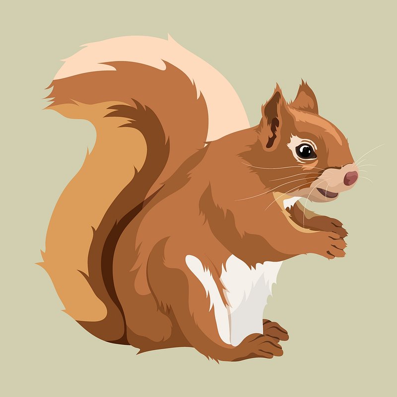 Cartoon Squirrel Images | Free Photos, PNG Stickers, Wallpapers &  Backgrounds - rawpixel