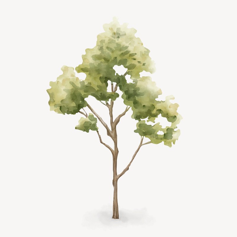 Deciduous trees in elevation – gCADPlus