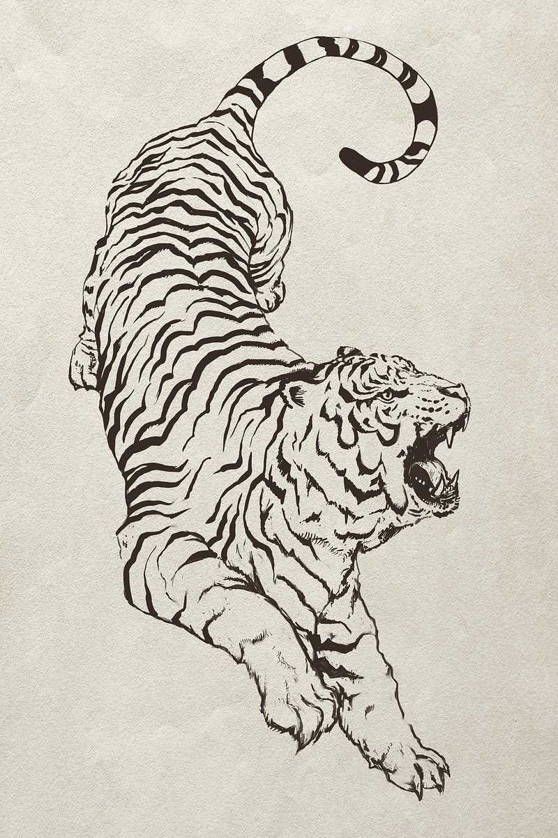 Hand drawn roaring tiger illustration | Premium PSD Illustration - rawpixel