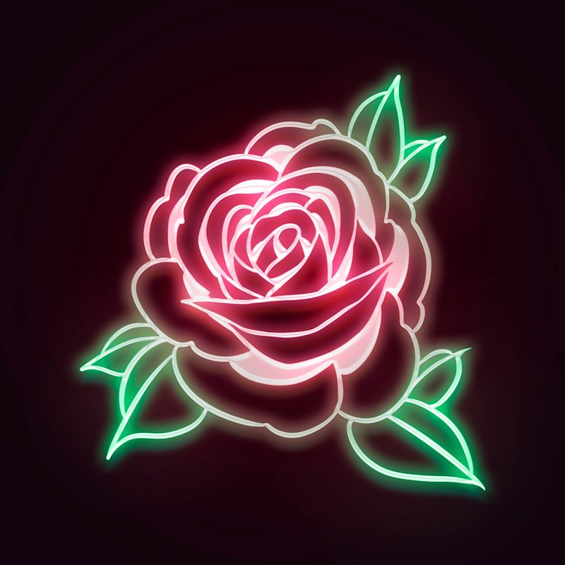 Neon Rose Images  Free Photos, PNG Stickers, Wallpapers & Backgrounds -  rawpixel