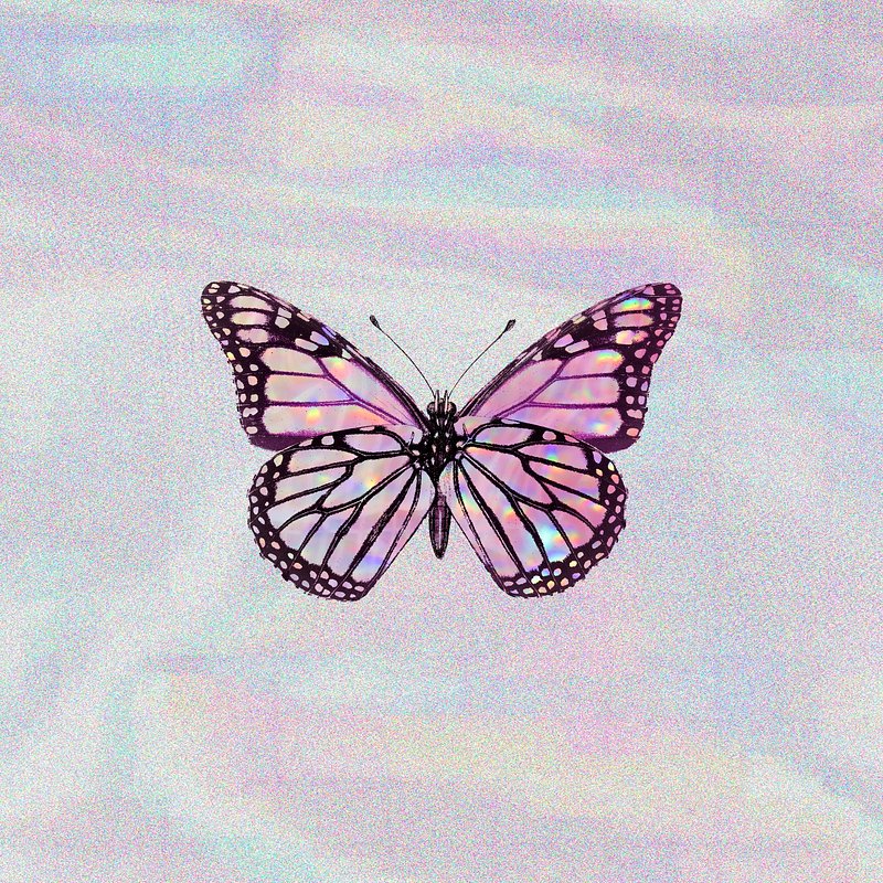 Pink butterfly on a holographic | Premium PSD - rawpixel