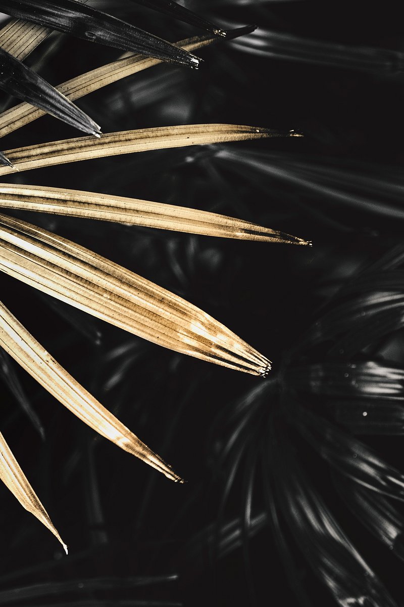 Golden palm leaves background design | Premium Photo - rawpixel