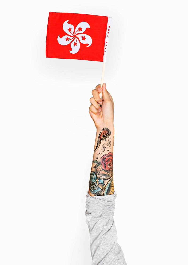 Japanese Koi and Wave Tattoo｜LAZY DUO TATTOO SHOP HK 日式海浪鋰魚刺青小清新紋身貼紙香港設計