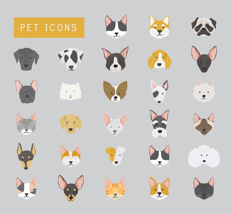 icons cat૮꒰˵• ﻌ •˵꒱ა in 2022, Cat icon, Pets, Dog cat