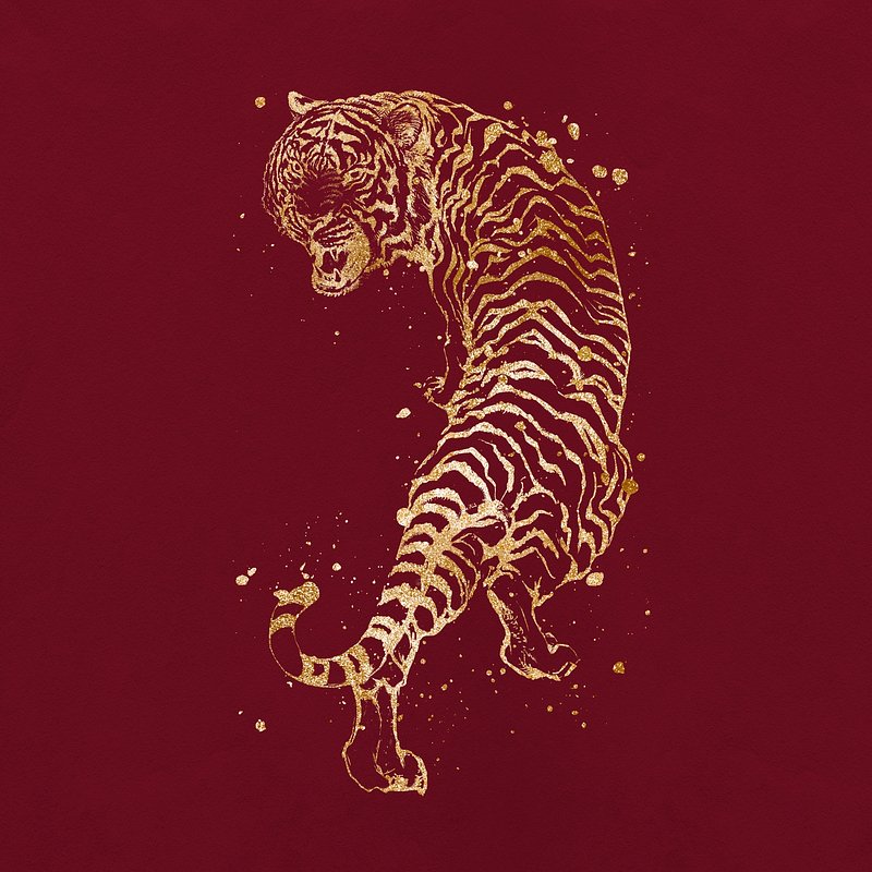 Tiger Images  Free HD Backgrounds, PNGs, Vectors & Illustrations - rawpixel