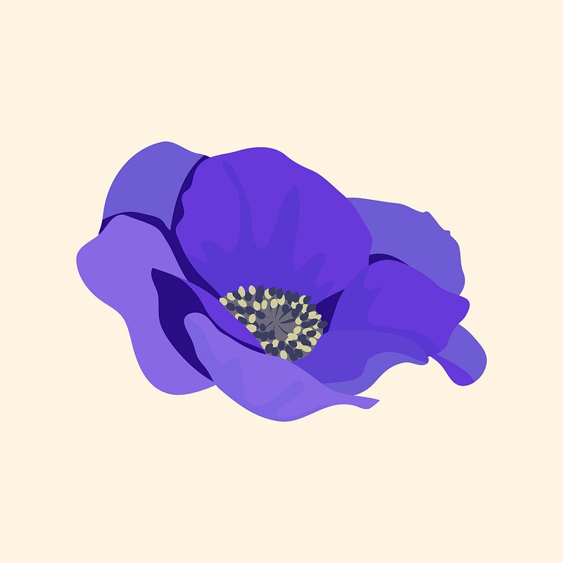 Aesthetic Flower PNG, Vector, PSD, and Clipart With Transparent