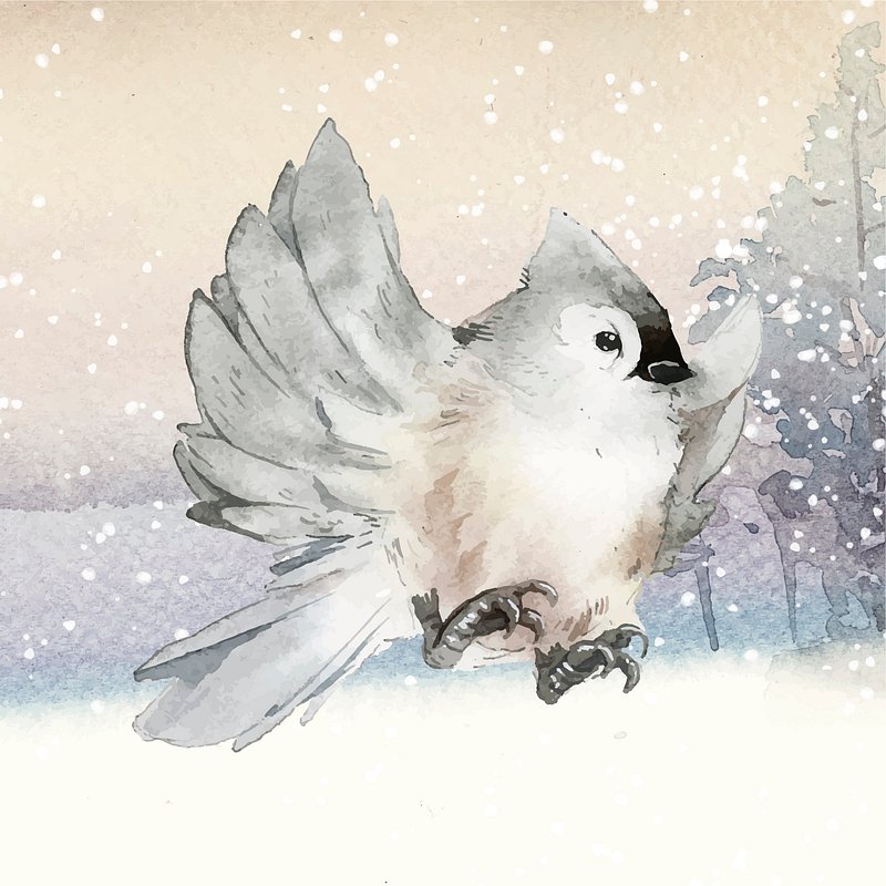 Tufted Titmouse Bird Wintertime Watercolor Premium Vector Illustration Rawpixel