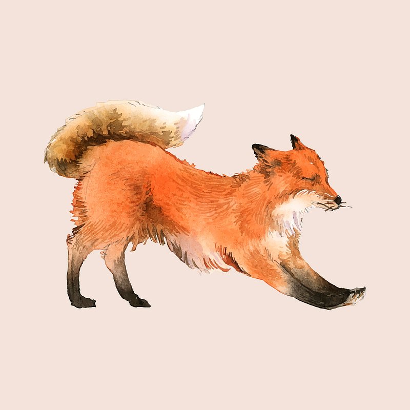 A red fox painted by watercolor | Free Vector Illustration - rawpixel